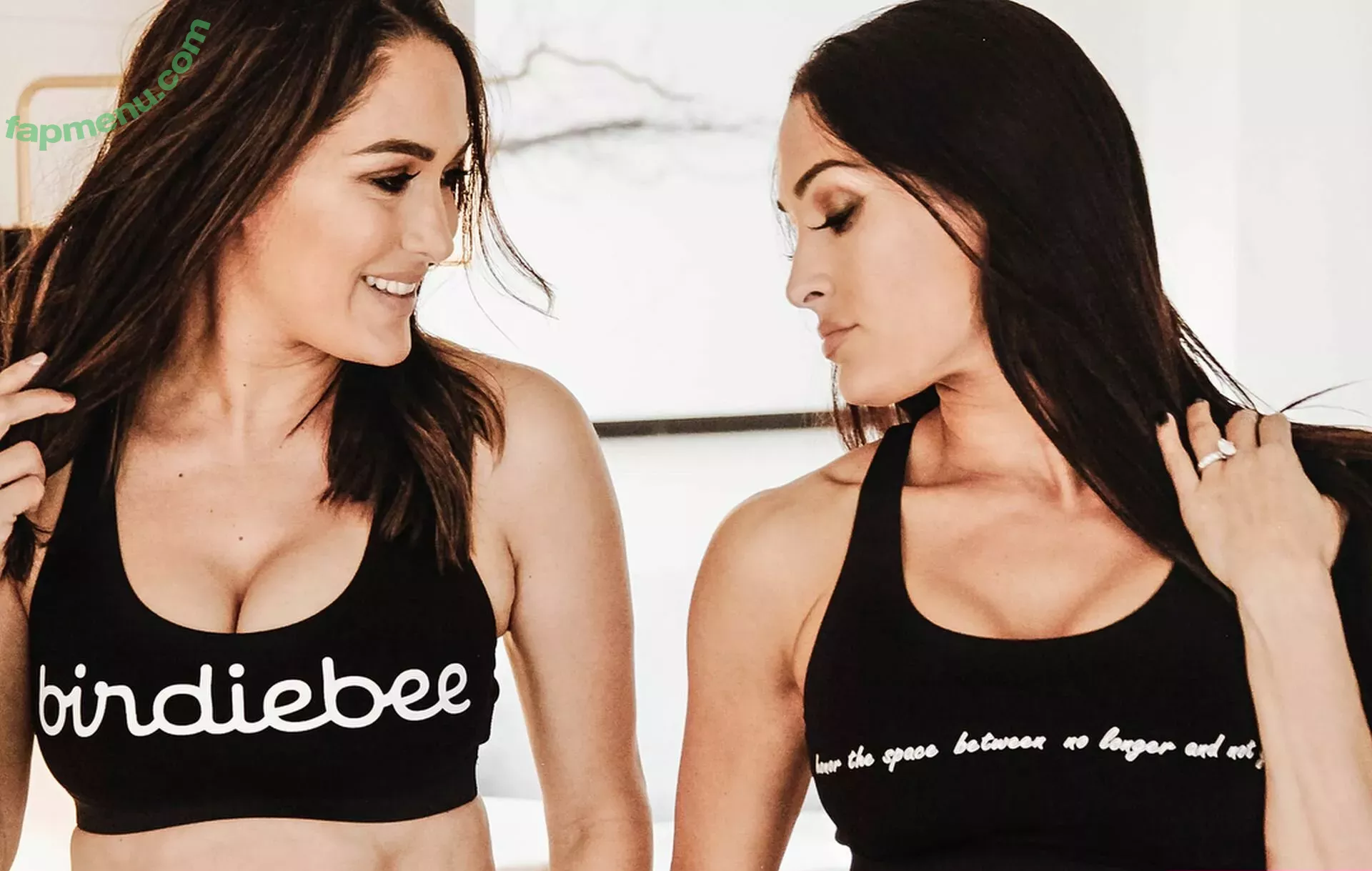 The Bella Twins: nude photo #0463 (Nikki Bella & Brie Bella / thenikkibella)