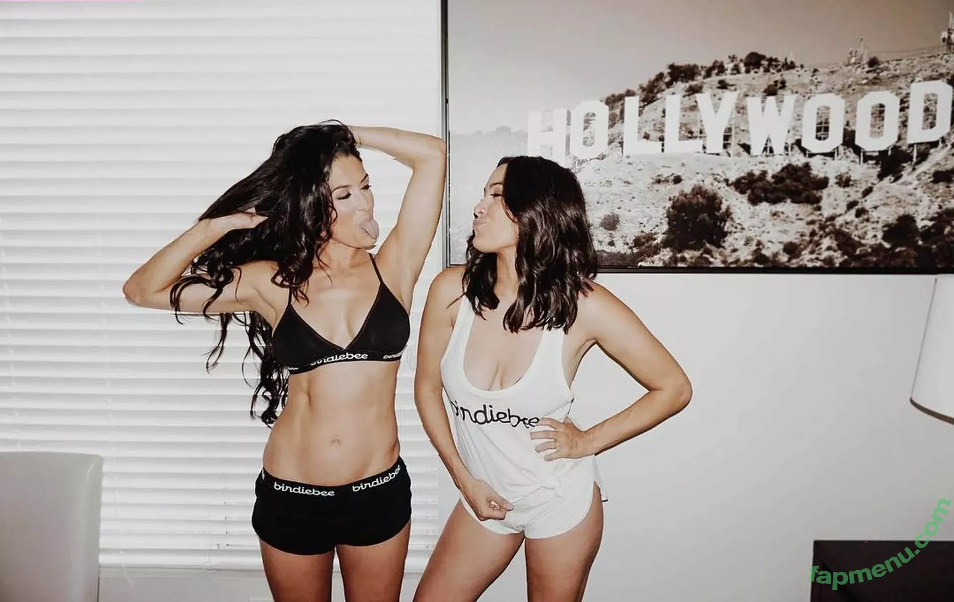 The Bella Twins: nude photo #0482 (Nikki Bella & Brie Bella / thenikkibella)