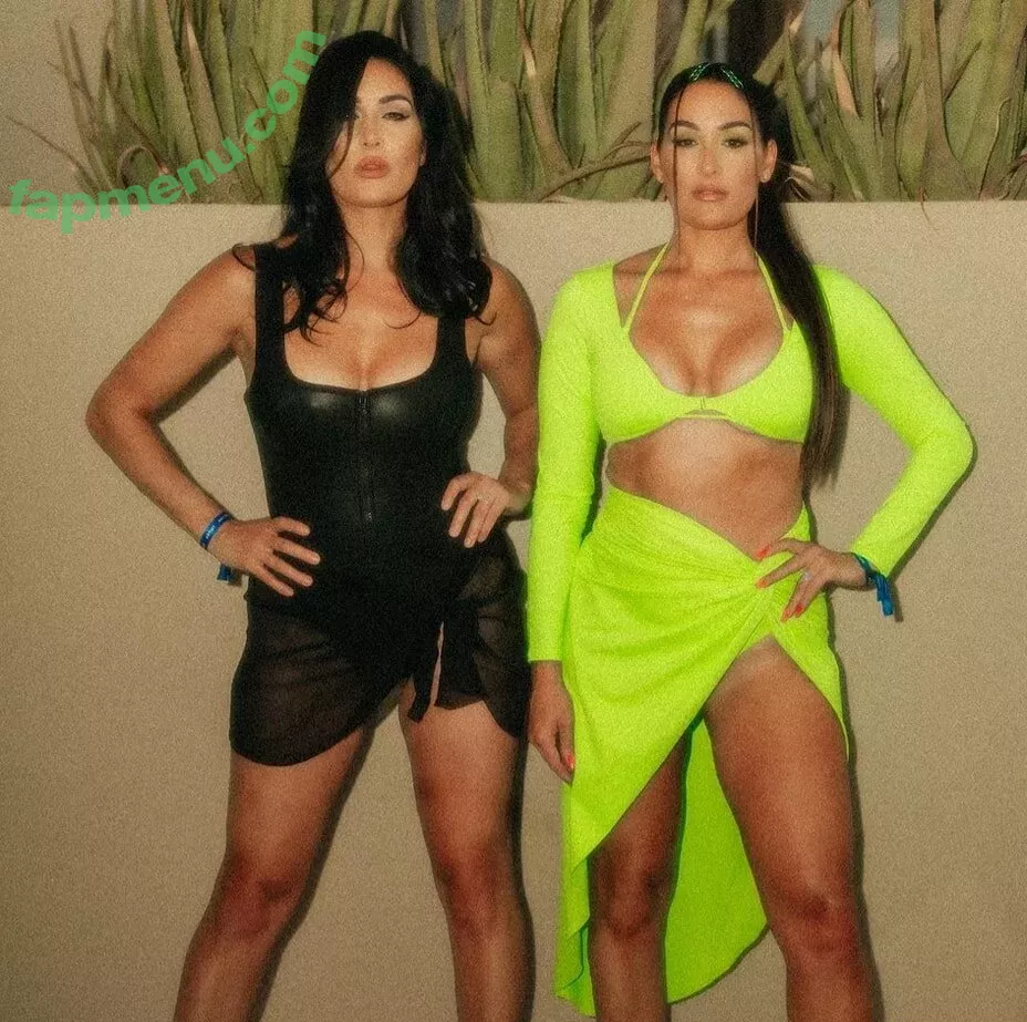 The Bella Twins: nude photo #0484 (Nikki Bella & Brie Bella / thenikkibella)