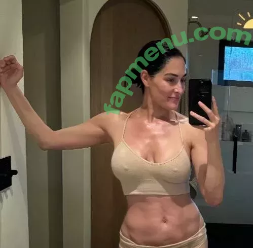 The Bella Twins: nude photo #0501 (Nikki Bella & Brie Bella / thenikkibella)