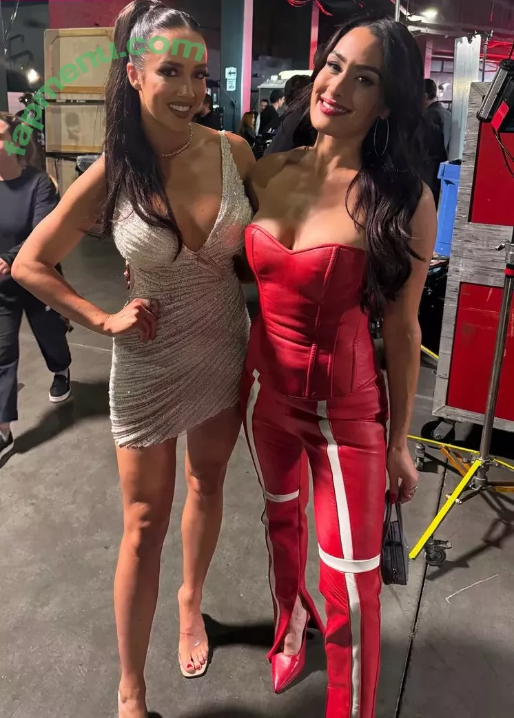 The Bella Twins: nude photo #0537 (Nikki Bella & Brie Bella / thenikkibella)