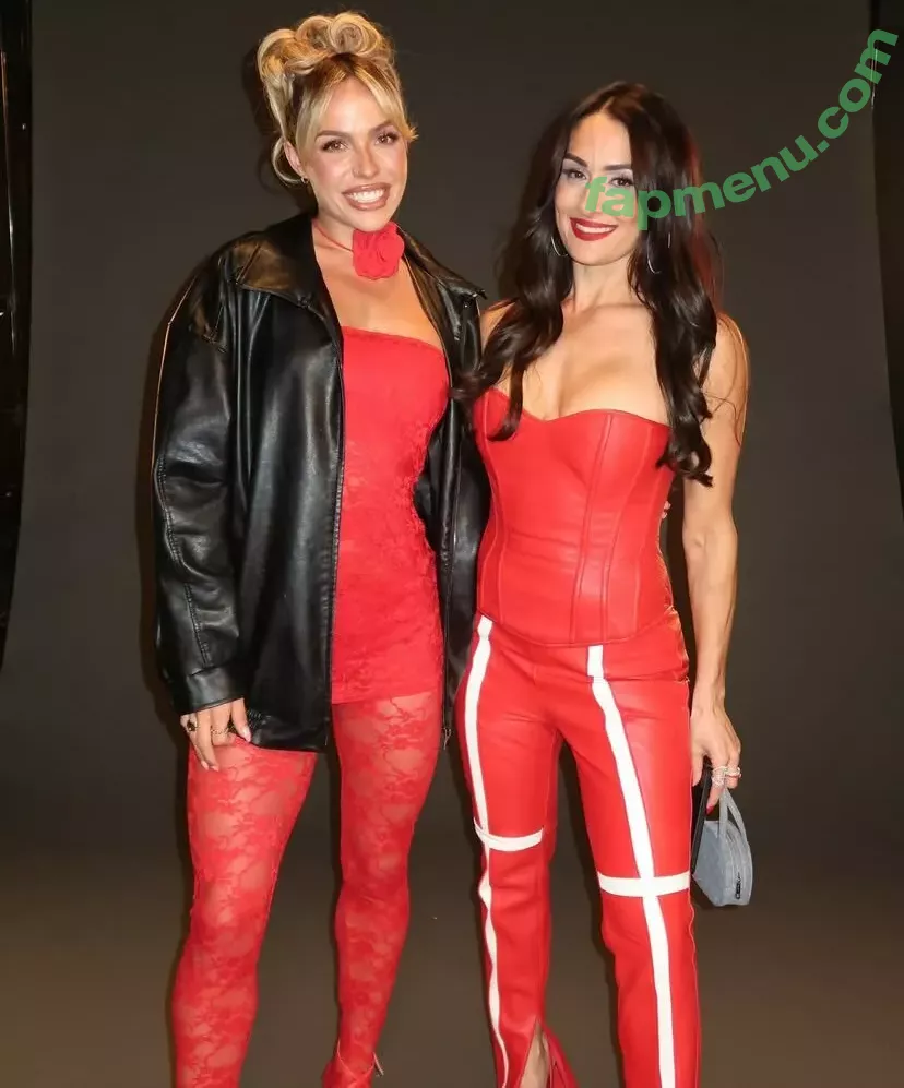 The Bella Twins: nude photo #0540 (Nikki Bella & Brie Bella / thenikkibella)