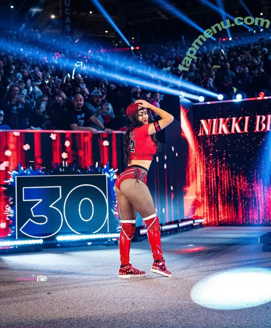The Bella Twins: nude photo #0557 (Nikki Bella & Brie Bella / thenikkibella)