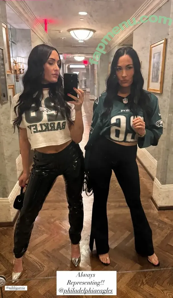 The Bella Twins: nude photo #0563 (Nikki Bella & Brie Bella / thenikkibella)