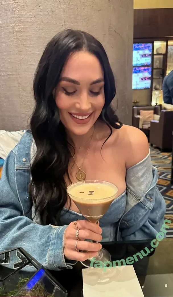 The Bella Twins: nude photo #0567 (Nikki Bella & Brie Bella / thenikkibella)