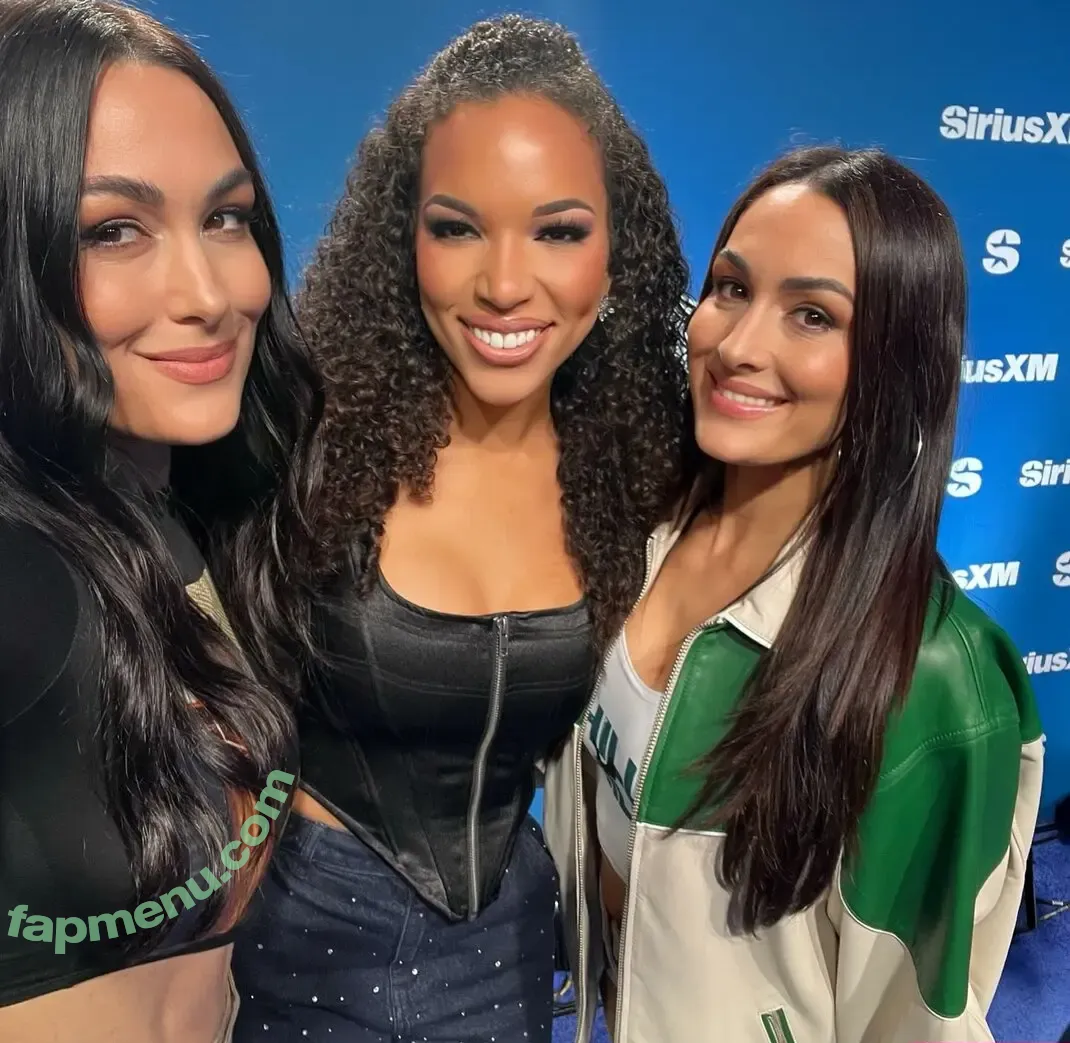 The Bella Twins: nude photo #0574 (Nikki Bella & Brie Bella / thenikkibella)