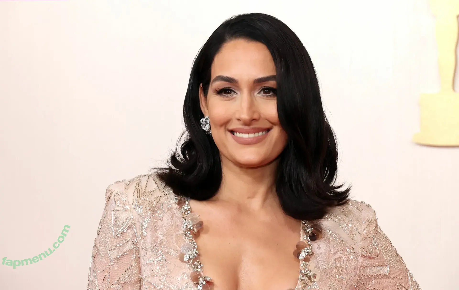 The Bella Twins: nude photo #0619 (Nikki Bella & Brie Bella / thenikkibella)
