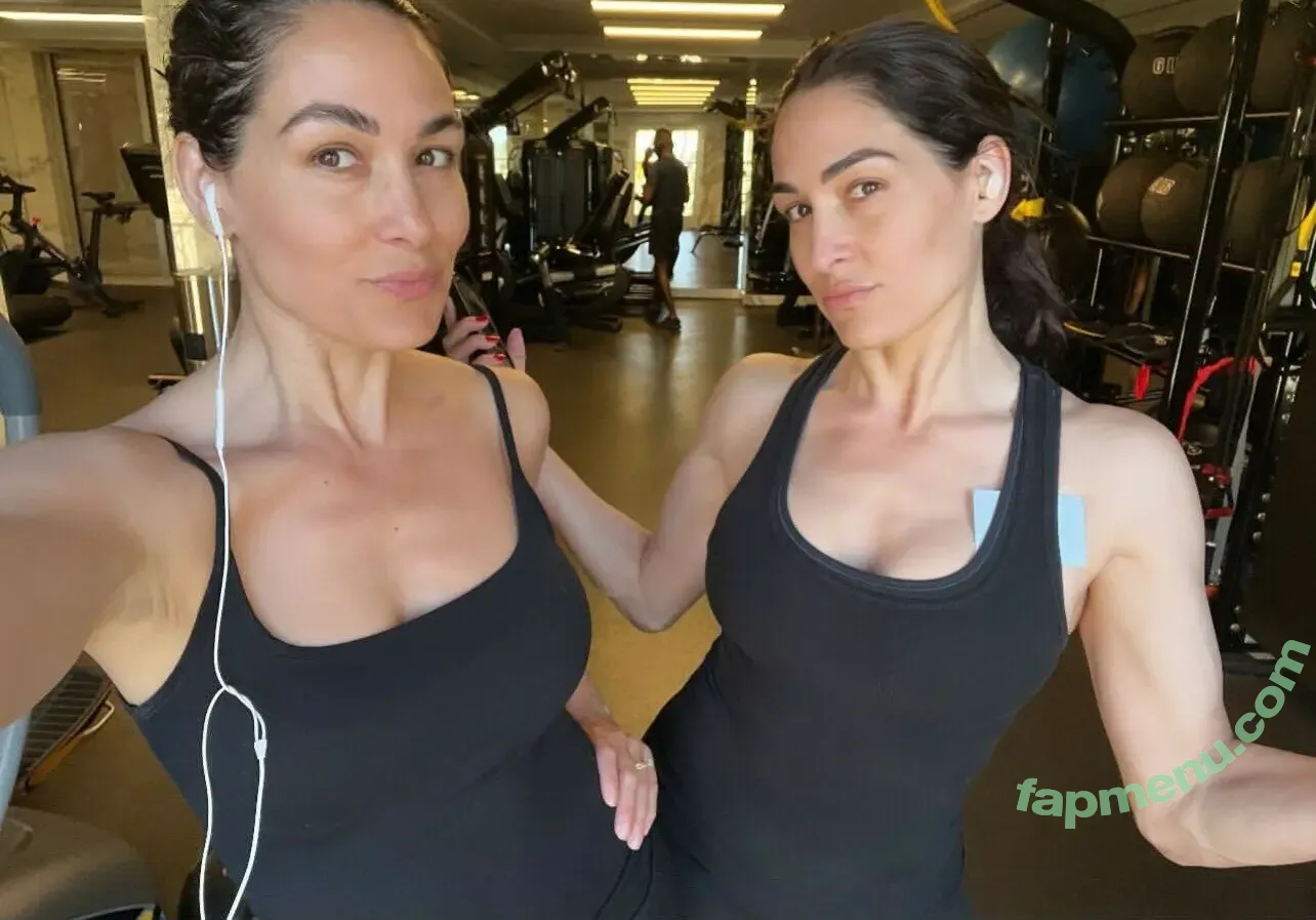 The Bella Twins: nude photo #0644 (Nikki Bella & Brie Bella / thenikkibella)