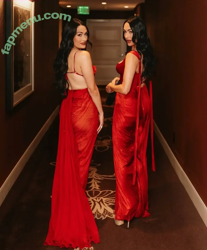 The Bella Twins: nude photo #0662 (Nikki Bella & Brie Bella / thenikkibella)