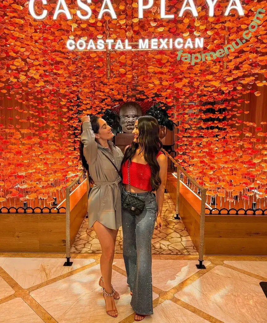 The Bella Twins: nude photo #0663 (Nikki Bella & Brie Bella / thenikkibella)