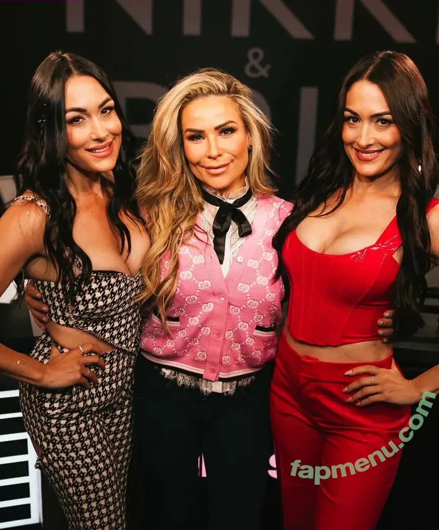 The Bella Twins: nude photo #0670 (Nikki Bella & Brie Bella / thenikkibella)