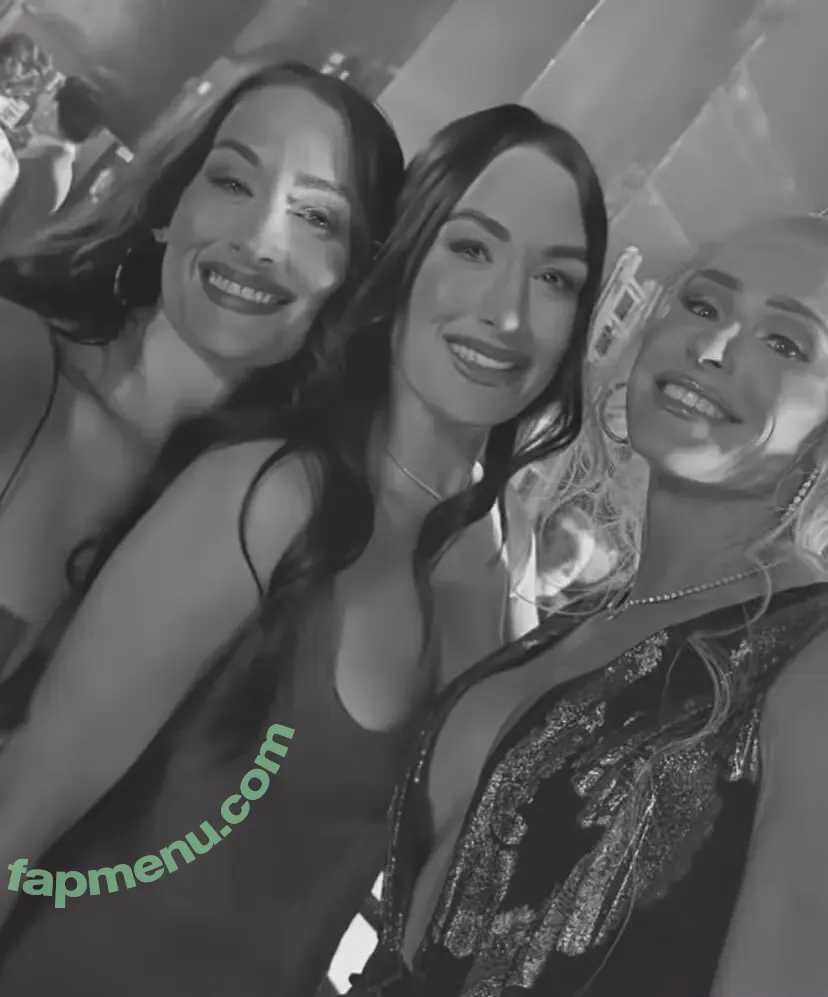 The Bella Twins: nude photo #0677 (Nikki Bella & Brie Bella / thenikkibella)