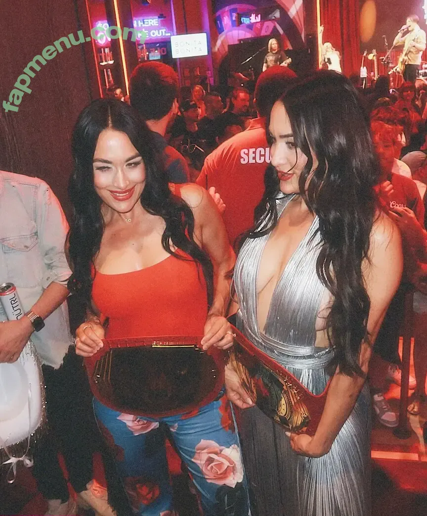 The Bella Twins: nude photo #0680 (Nikki Bella & Brie Bella / thenikkibella)