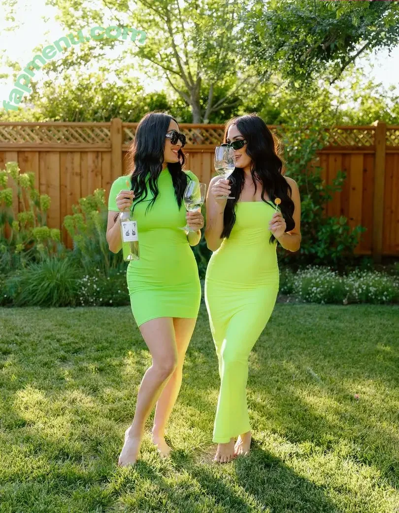 The Bella Twins: nude photo #0689 (Nikki Bella & Brie Bella / thenikkibella)
