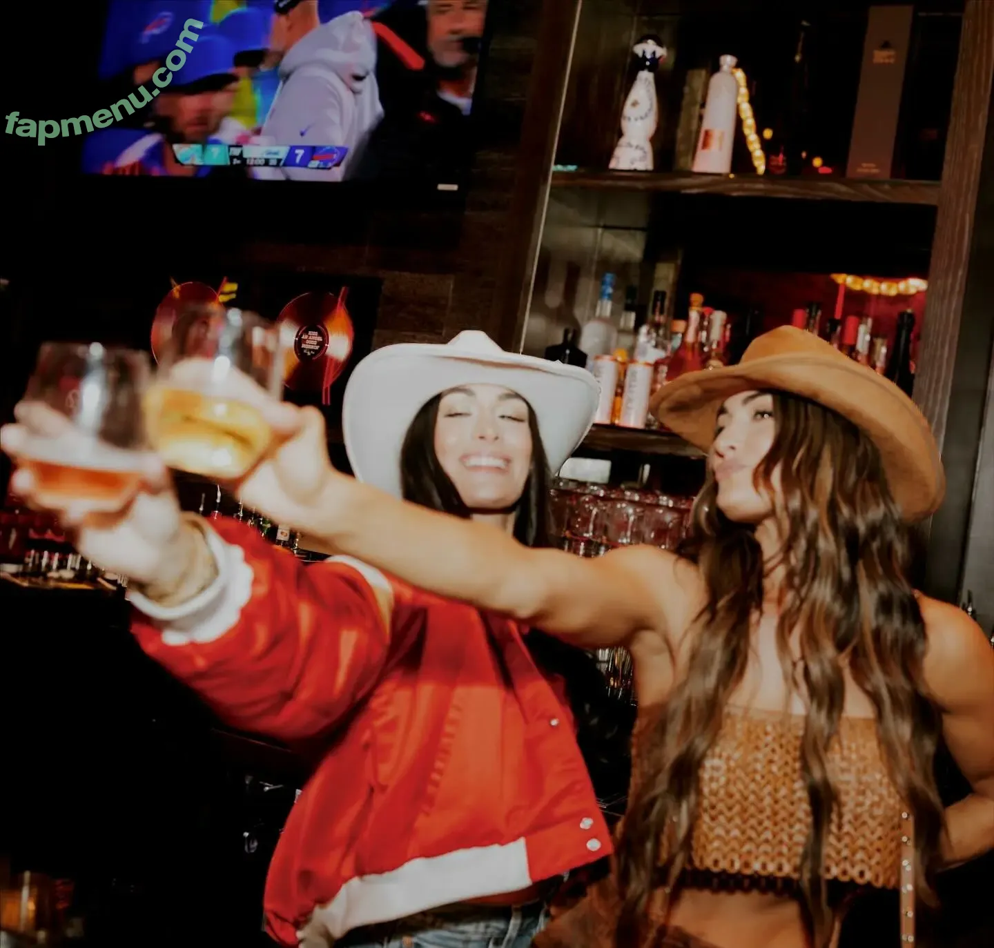 The Bella Twins: nude photo #0798 (Nikki Bella & Brie Bella / thenikkibella)