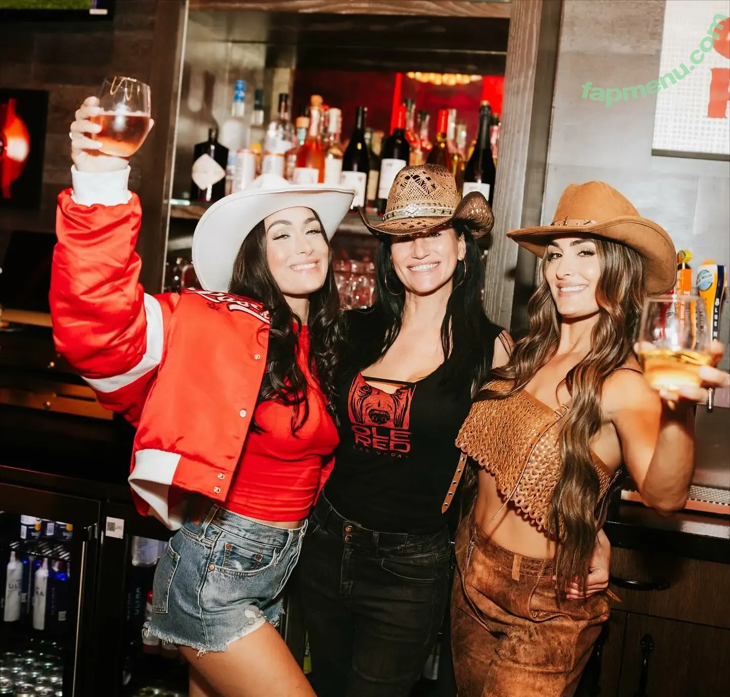 The Bella Twins: nude photo #0799 (Nikki Bella & Brie Bella / thenikkibella)