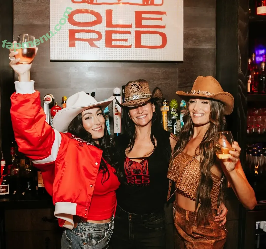 The Bella Twins: nude photo #0803 (Nikki Bella & Brie Bella / thenikkibella)