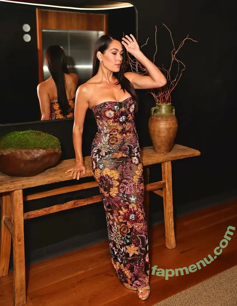 The Bella Twins: nude photo #0821 (Nikki Bella & Brie Bella / thenikkibella)