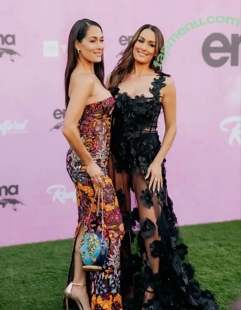 The Bella Twins: nude photo #0822 (Nikki Bella & Brie Bella / thenikkibella)