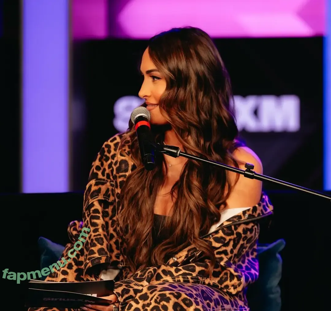 The Bella Twins: nude photo #0830 (Nikki Bella & Brie Bella / thenikkibella)