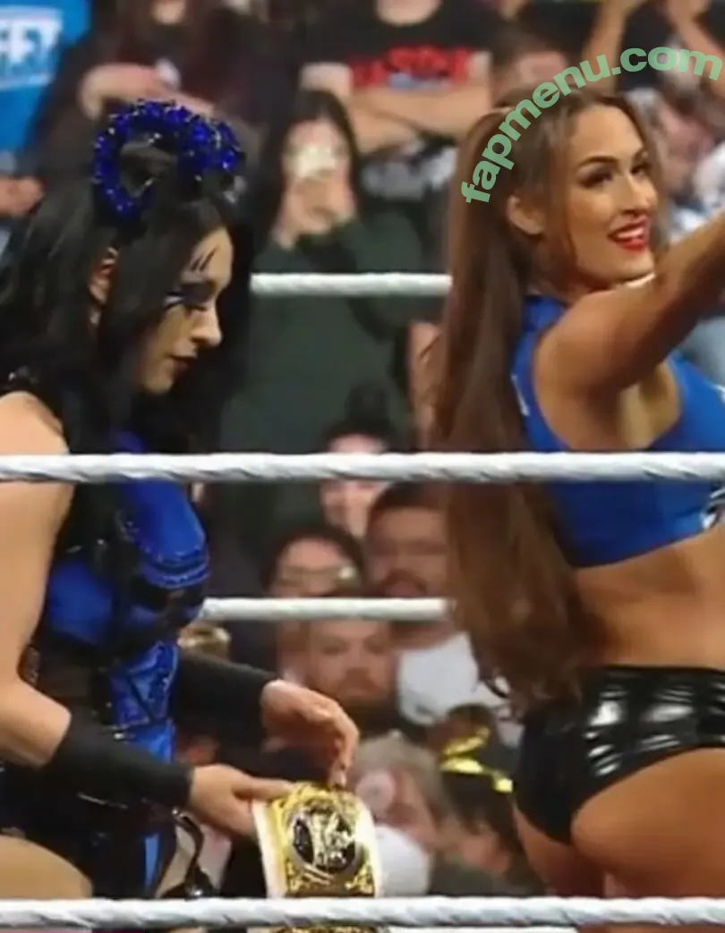 The Bella Twins: nude photo #0895 (Nikki Bella & Brie Bella / thenikkibella)