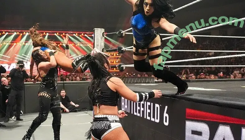 The Bella Twins: nude photo #0904 (Nikki Bella & Brie Bella / thenikkibella)