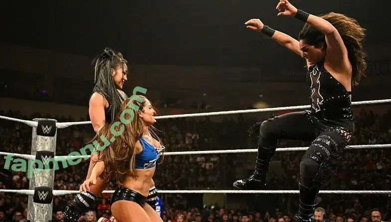 The Bella Twins: nude photo #0905 (Nikki Bella & Brie Bella / thenikkibella)