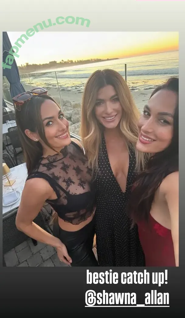 The Bella Twins: nude photo #0910 (Nikki Bella & Brie Bella / thenikkibella)