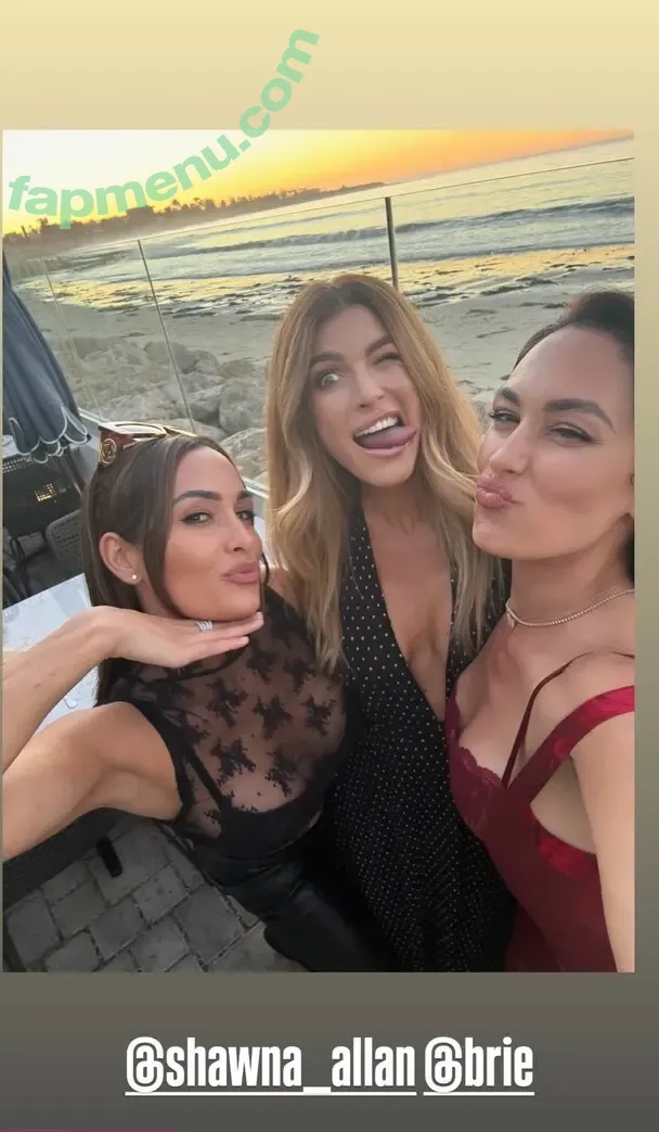 The Bella Twins: nude photo #0911 (Nikki Bella & Brie Bella / thenikkibella)