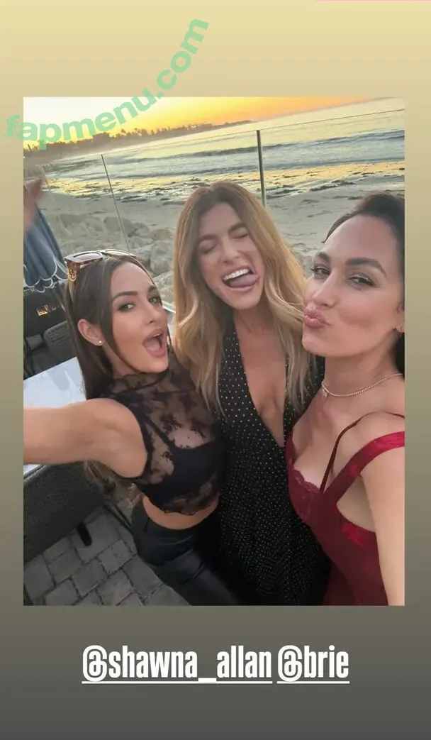 The Bella Twins: nude photo #0913 (Nikki Bella & Brie Bella / thenikkibella)