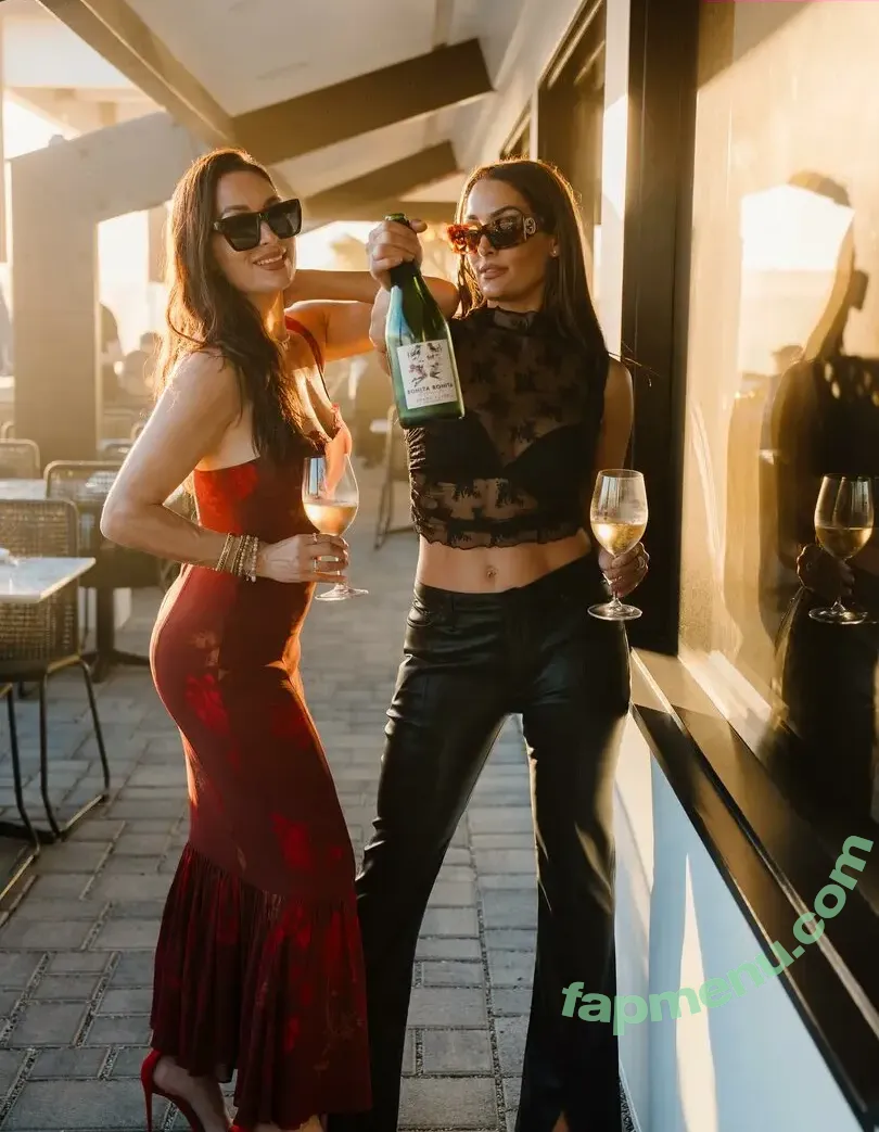 The Bella Twins: nude photo #0915 (Nikki Bella & Brie Bella / thenikkibella)