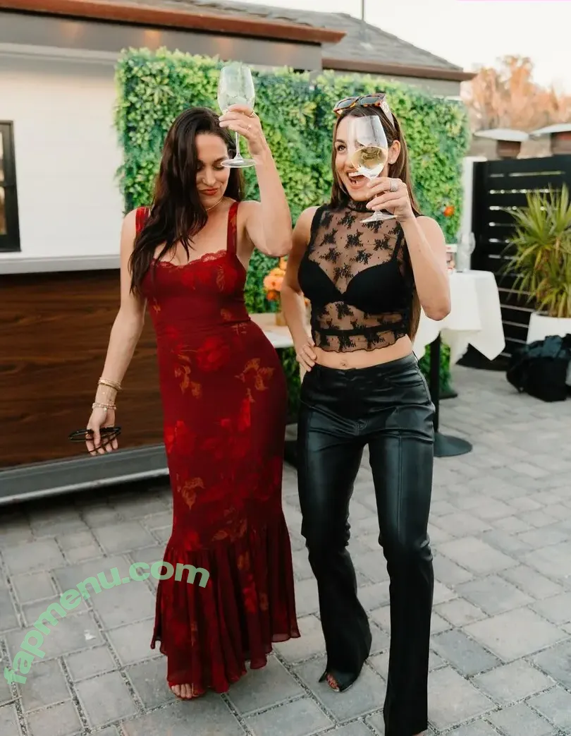 The Bella Twins: nude photo #0916 (Nikki Bella & Brie Bella / thenikkibella)