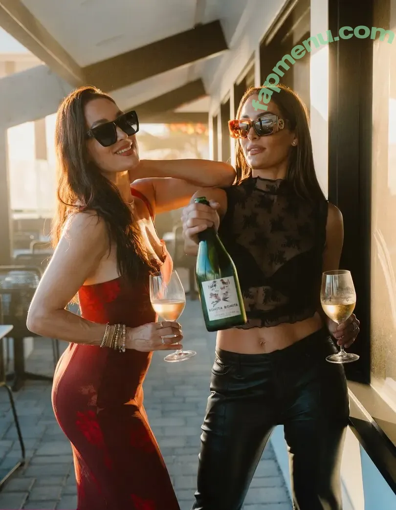 The Bella Twins: nude photo #0918 (Nikki Bella & Brie Bella / thenikkibella)