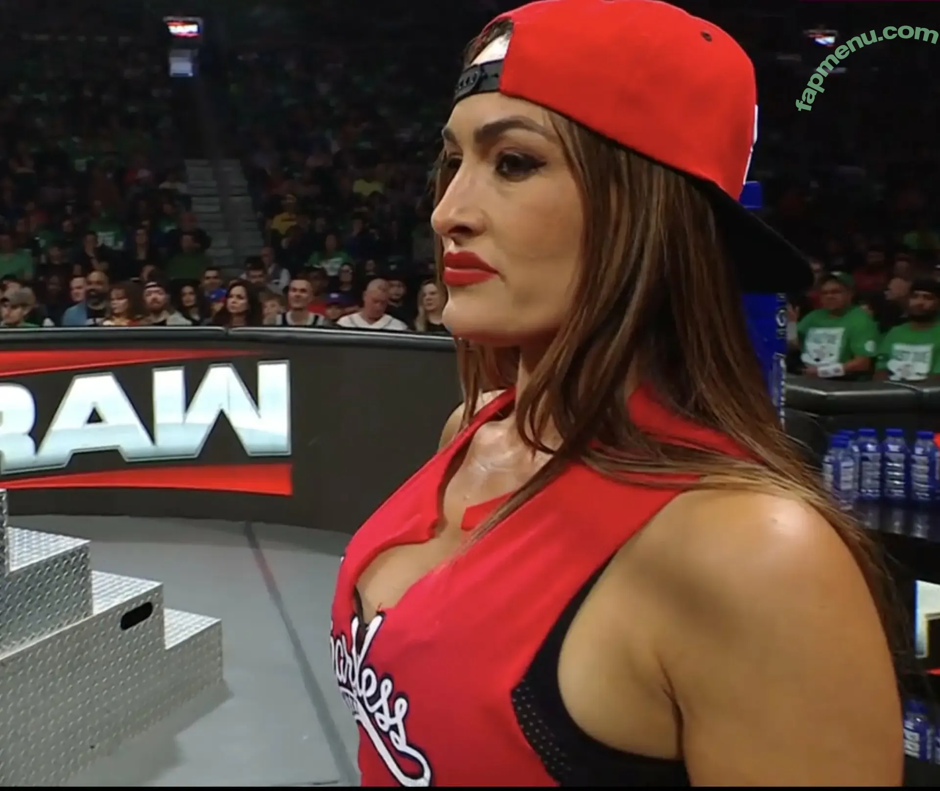 The Bella Twins: nude photo #0932 (Nikki Bella & Brie Bella / thenikkibella)