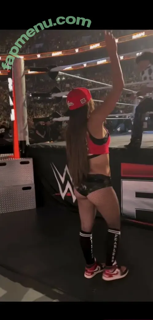 The Bella Twins: nude photo #0942 (Nikki Bella & Brie Bella / thenikkibella)