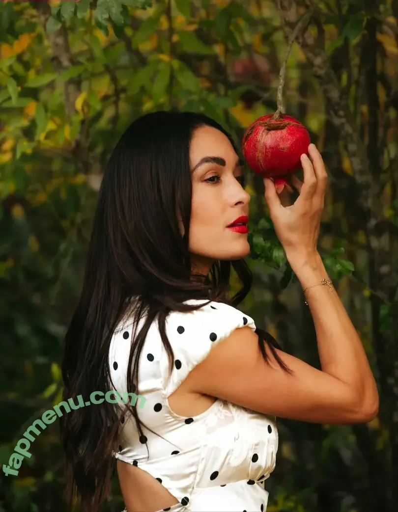 The Bella Twins: nude photo #0952 (Nikki Bella & Brie Bella / thenikkibella)