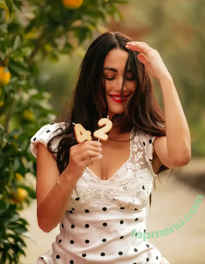 The Bella Twins: nude photo #0953 (Nikki Bella & Brie Bella / thenikkibella)