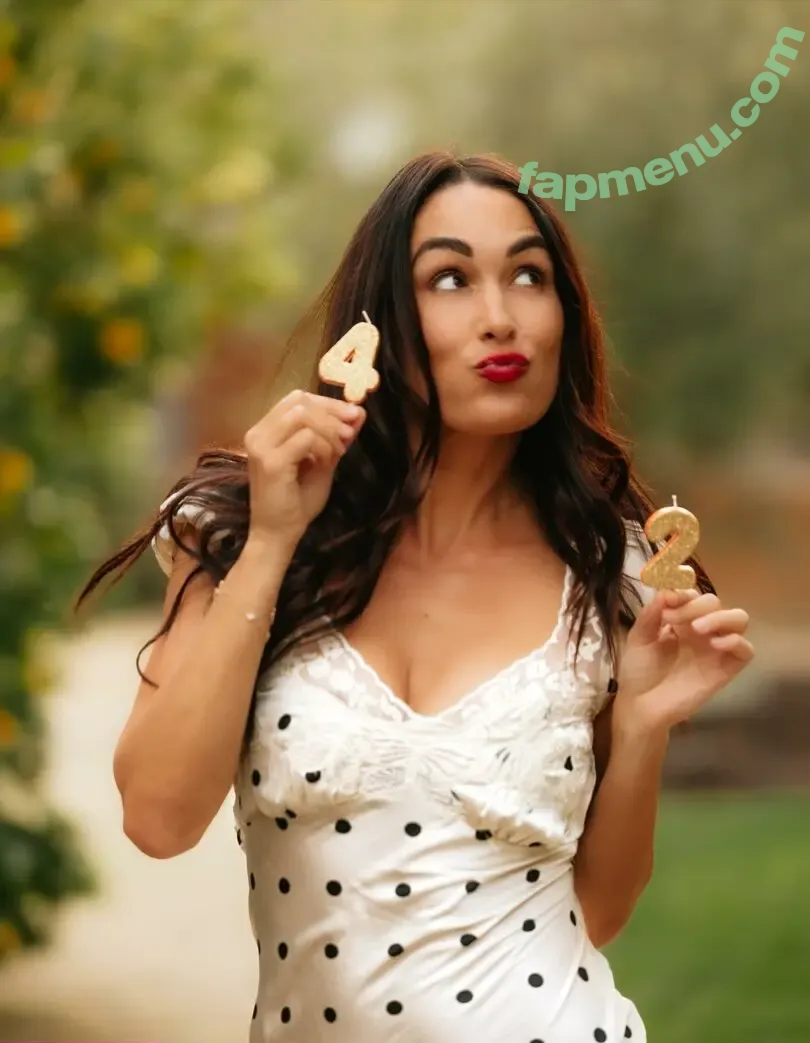 The Bella Twins: nude photo #0955 (Nikki Bella & Brie Bella / thenikkibella)