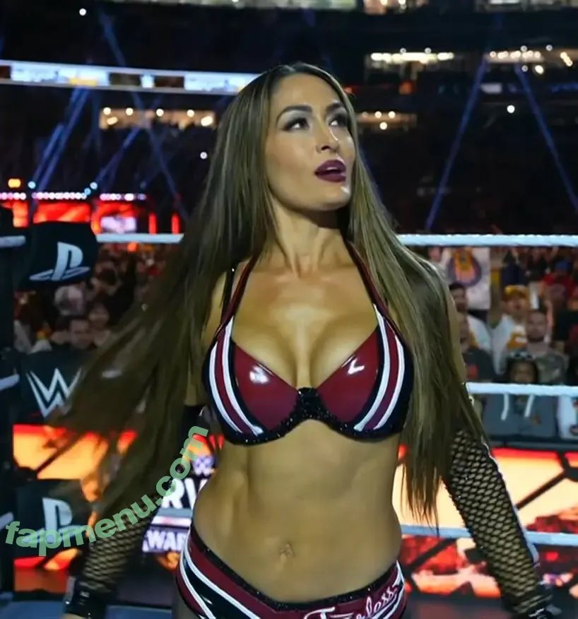The Bella Twins: nude photo #0958 (Nikki Bella & Brie Bella / thenikkibella)