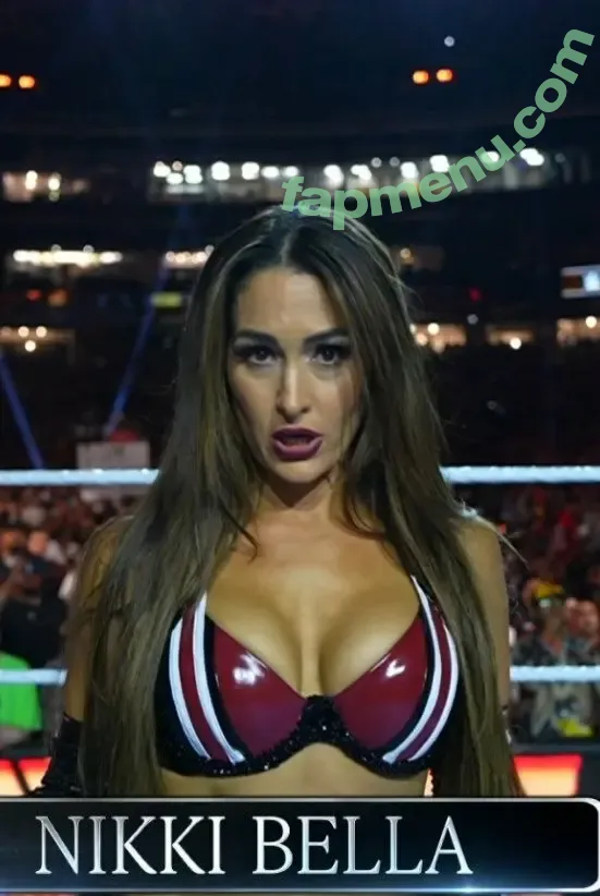 The Bella Twins: nude photo #0968 (Nikki Bella & Brie Bella / thenikkibella)