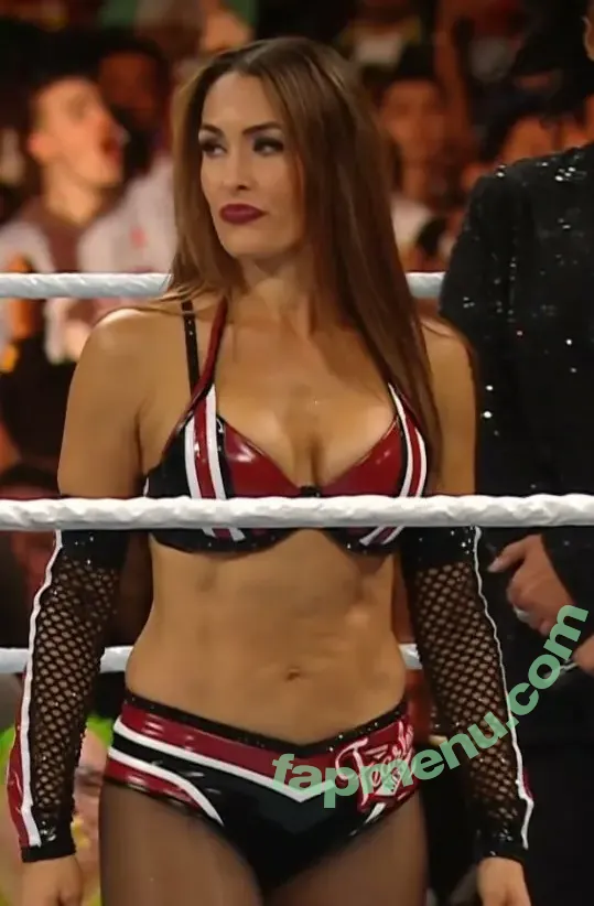 The Bella Twins: nude photo #0970 (Nikki Bella & Brie Bella / thenikkibella)