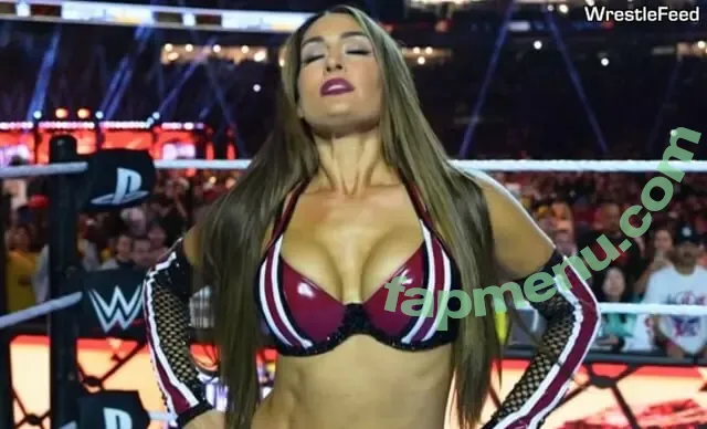 The Bella Twins: nude photo #0973 (Nikki Bella & Brie Bella / thenikkibella)