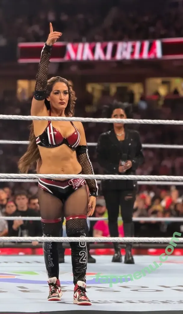 The Bella Twins: nude photo #0974 (Nikki Bella & Brie Bella / thenikkibella)