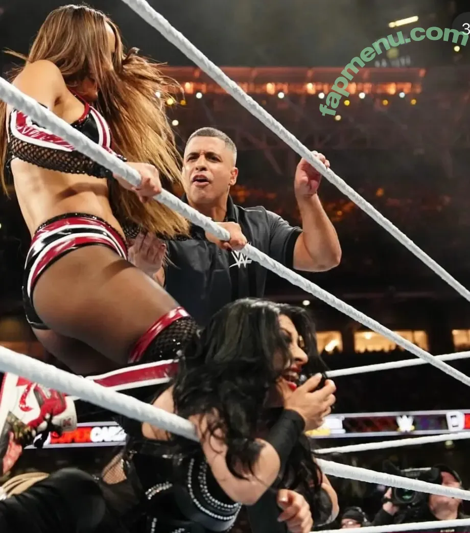 The Bella Twins: nude photo #0986 (Nikki Bella & Brie Bella / thenikkibella)