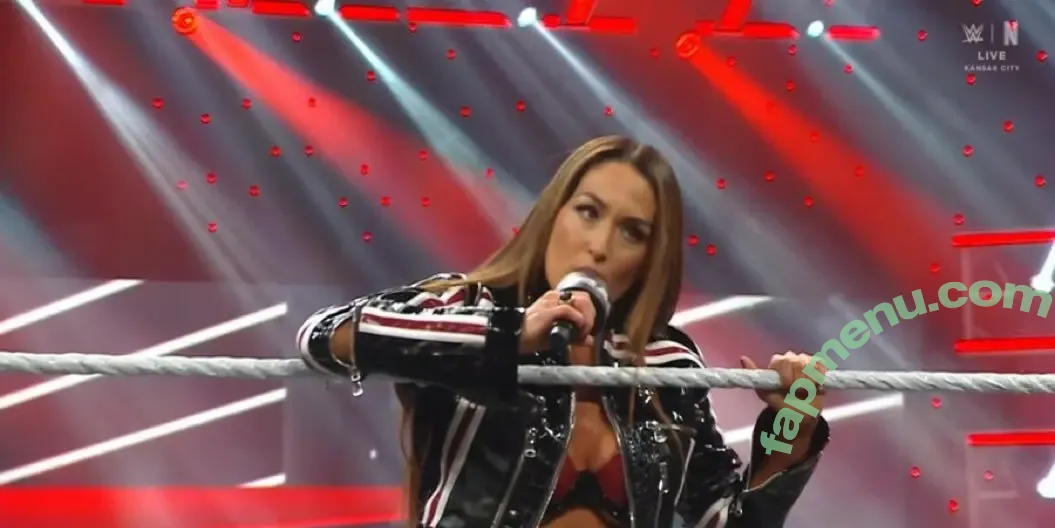 The Bella Twins: nude photo #0990 (Nikki Bella & Brie Bella / thenikkibella)