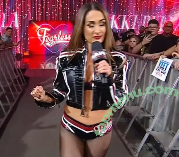 The Bella Twins: nude photo #0991 (Nikki Bella & Brie Bella / thenikkibella)