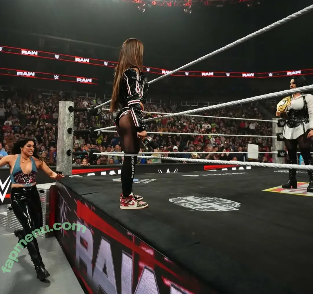 The Bella Twins: nude photo #0997 (Nikki Bella & Brie Bella / thenikkibella)