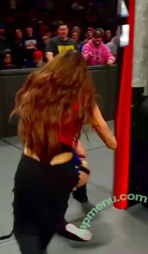 The Bella Twins: / Nikki Bella & Brie Bella / thenikkibella nude photo #1012