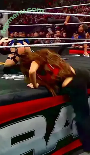 The Bella Twins: / Nikki Bella & Brie Bella / thenikkibella nude photo #1017