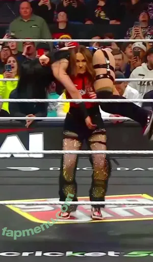 The Bella Twins: / Nikki Bella & Brie Bella / thenikkibella nude photo #1019